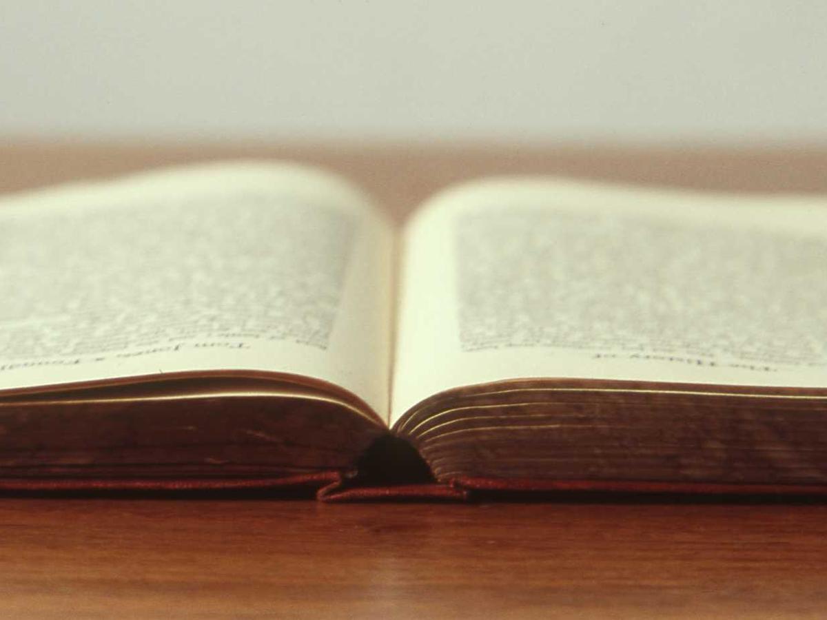 An open ledger book